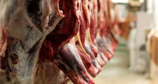 تخم‌مرغ نطفه‌دار و گوشت گرم از فهرست کالاهای اساسی خارج شده‌اند