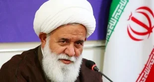 نگران هستیم منشور تاریخی رهبر انقلاب در انبوه مسائل و وقایع به محاق برود