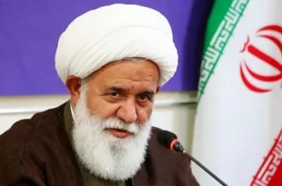 نگران هستیم منشور تاریخی رهبر انقلاب در انبوه مسائل و وقایع به محاق برود