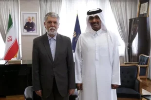 دیدار سفیر قطر در ایران با وزیر ارشاد