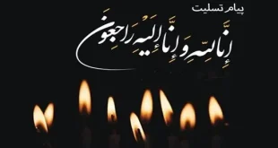 معان وزیر فرهنگ درگذشت حمیدرضا درجاتی را تسلیت گفت