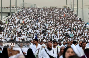 چند زائر از جهان اسلام‌ وارد سرزمین وحی شدند؟