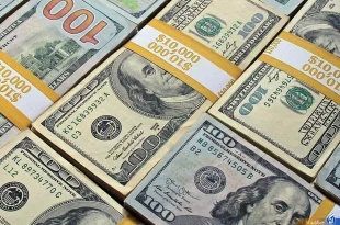 ۱۴۱ میلیون دلار در بازار ارز تجاری مرکز مبادله ایران معامله شد