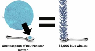 یک قاشق چایخوری از ماده ستاره نوترونی وزنی معادل حدود ۸۵ هزار نهنگ آبی دارد.