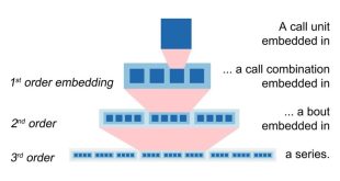 اورانگوتان‌ها