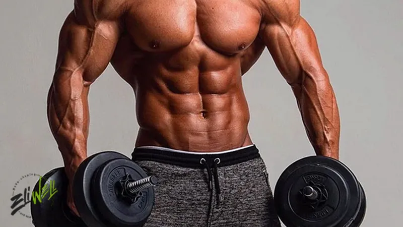 بررسی مکمل‌های مورد استفاده در دوران حجم و کات  | خرید انواع مکمل های بدنسازی در الیول ایران