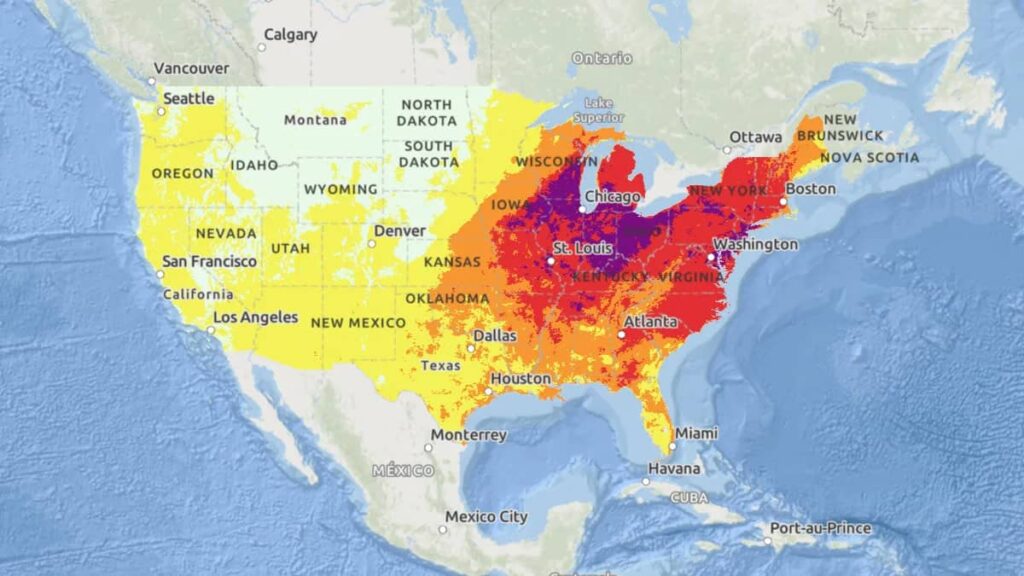 گرمای آمریکا