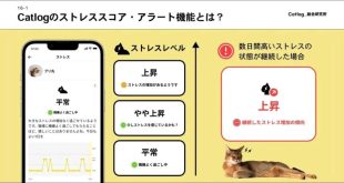 اپ هوش مصنوعی برای گربه‌ها