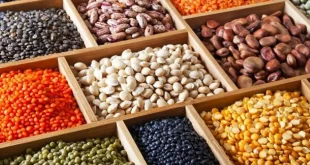 آغاز ثبت‌سفارش حبوبات و چای با نرخ جدید از فردا