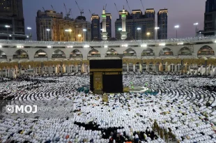 امسال یک میلیون و ۶۷۳ هزار و ۲۳۰ نفر در مناسک حج شرکت کردند