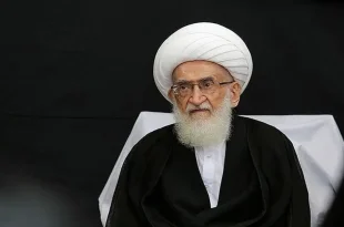 تعرض و تهدید به رهبری و مرجعیت دینی حکم «محارب» دارد