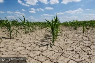 کشور به پنجمین سال پیاپی خشکسالی وارد شد