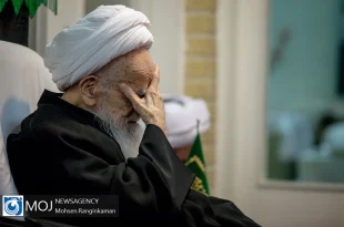 مرحوم آیت الله صافی گلپایگانی برای روز عرفه توصیه‌ای کردند