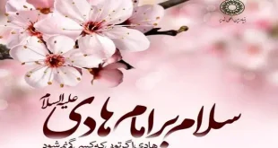 طرح سراسری جشن لبخند و کودکانه غدیر به مناسبت میلاد امام هادی(ع) اجرا شد