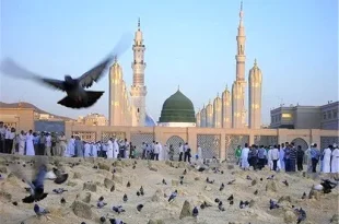 حضور زائران ایرانی در شهر پیامبر(ص) پایان یافت