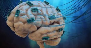 کشف راهی برای تقویت یادگیری ریاضی با تحریک الکتریکی ضعیف مغز