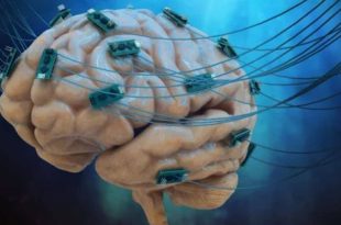 کشف راهی برای تقویت یادگیری ریاضی با تحریک الکتریکی ضعیف مغز