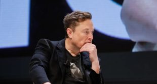 دوباره ۷ روز هفته کار می‌کنم و در دفتر شرکت می‌خوابم