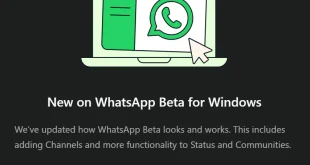 حذف نسخه بومی ویندوز واتس‌اپ و جایگزینی با اپلیکیشن تحت وب