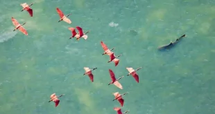 برنده مسابقه عکاسی اقدام برای حرا