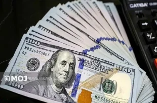 جدیدترین قیمت ارزها در بازار آزاد امروز یکشنبه ۱۵ تیر ۱۴۰۴