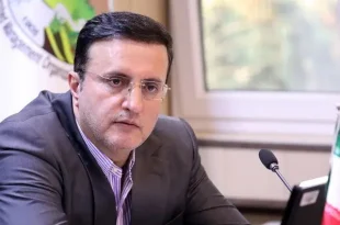 رئیس سازمان منابع طبیعی کشور درگذشت فعال محیط زیست سنندج را تسلیت گفت