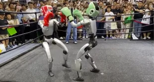 ربات‌های انسان‌نما دوباره در چین مسابقه بوکس برگزار کردند + ویدیو