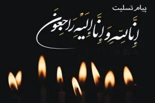 شورای توسعه فرهنگ قرآنی در پی درگذشت آیت‌الله حجتی پیام تسلیت داد