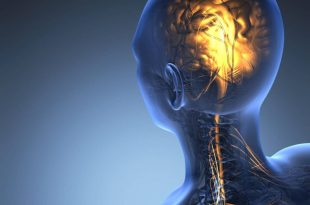 فعالیت عصب‌های بدن