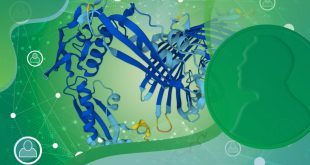 روزانه چقدر پروتئین نیاز داریم و آیا مصرف بیش‌ازحد آن مضر است؟