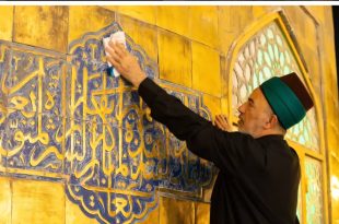 54df0f52 8882 426a 9749 657410537965