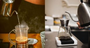 قهوه فرانسه؛ تاریخچه، فرهنگ و طعم جاودانه