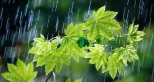 بارش‌های رگباری تابستانه در چند استان کشور ثبت شد