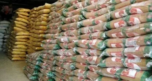 دولت مستقیماً برنج وارداتی را عرضه می‌کند