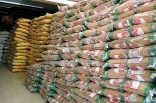 دولت مستقیماً برنج وارداتی را عرضه می‌کند