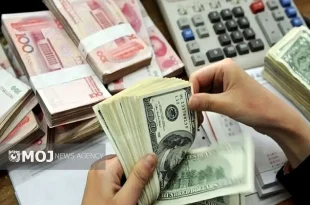 میزان تامین ارز واردات امسال از ۱۸ میلیارد دلار عبور کرد