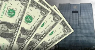 ۴.۸ میلیارد دلار از ارز واردات به کالاهای اساسی و دارو رسید