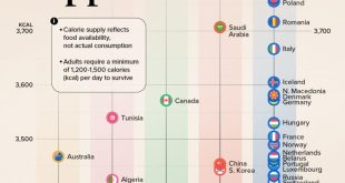 بالاترین کالری غذایی در کشورهای جهان