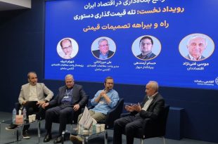 دخالت‌های حاکمیتی اکوسیستم استارتاپی را نابود کرده است