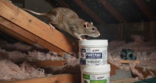 cabb3bba 8578 42d2 bd4a 83d141e32d62