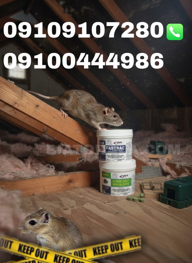 cabb3bba 8578 42d2 bd4a 83d141e32d62