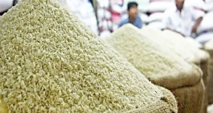 دولت با حذف مالیات بر ارزش افزوده سود بزرگی را نصیب واردکنندگان کرد/امکان تعدیل قیمت برنج با حذف واردات