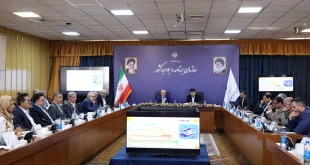 مشارکت بخش خصوصی شاه‌بیت تحول دیجیتال دولت است