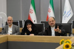 ضعف کارشناسی و اشتباه سیاستگذاری در گذشته باعث گسست عمیق در زنجیره ارزش پتروشیمی شد