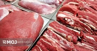 قیمت گوشت باید منطقی باشد، نه دستوری/کاهش چشمگیر مصرف گوشت در کشور
