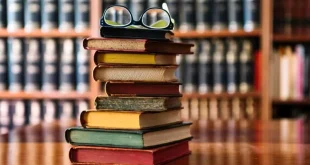 چین مبتکر ایجاد شبکه ادبیات بریکس شد