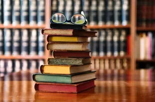 چین مبتکر ایجاد شبکه ادبیات بریکس شد