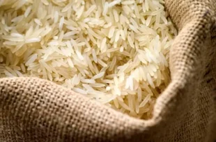 افت قیمت برنج صادراتی هند به کمترین سطح سه سال اخیر