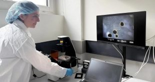 کامپیوتر با سلول‌های زنده