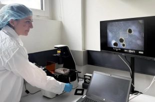 کامپیوتر با سلول‌های زنده